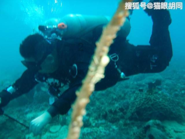 孤岛惊魂4